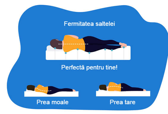 fermitatea saltelei